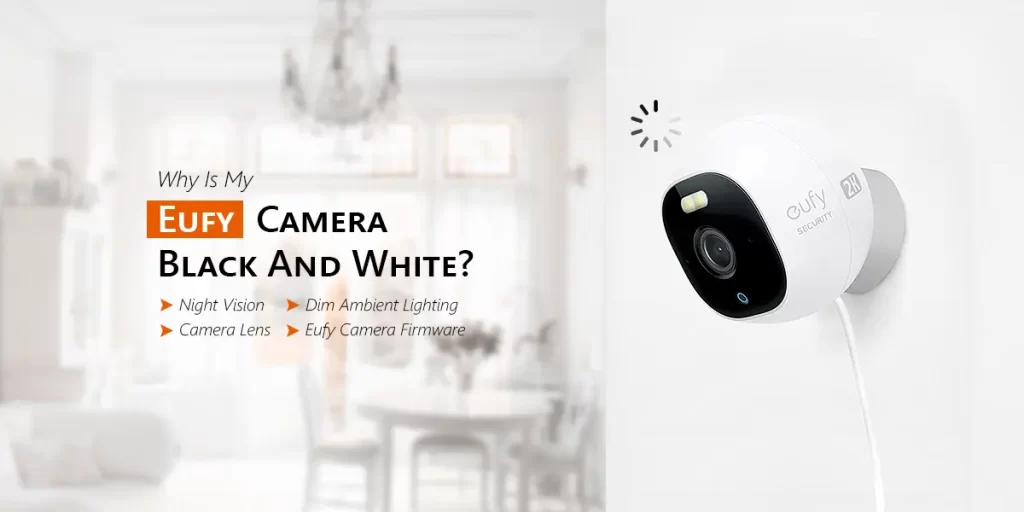 Eufy Camera Black And White